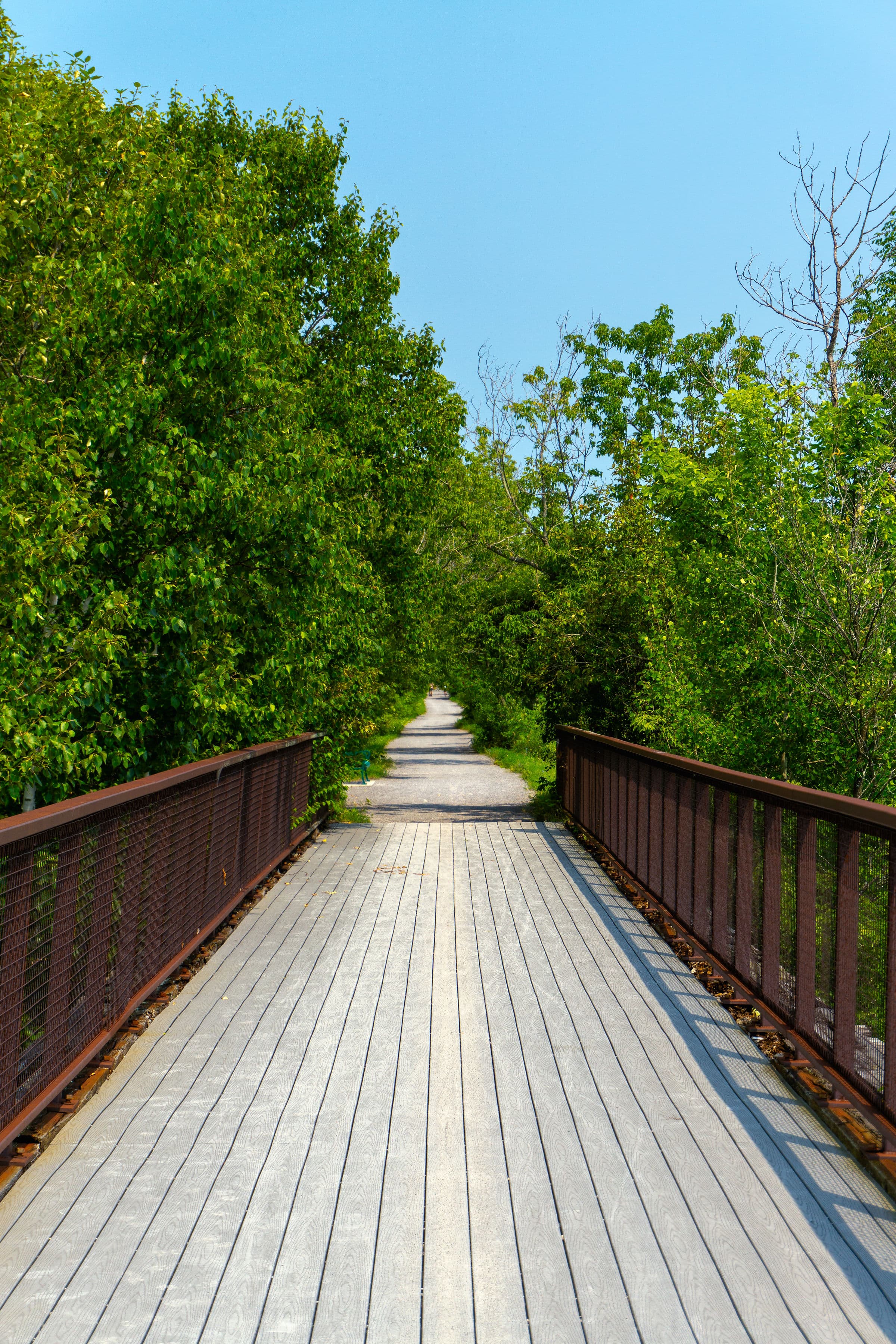 Landscape photo
