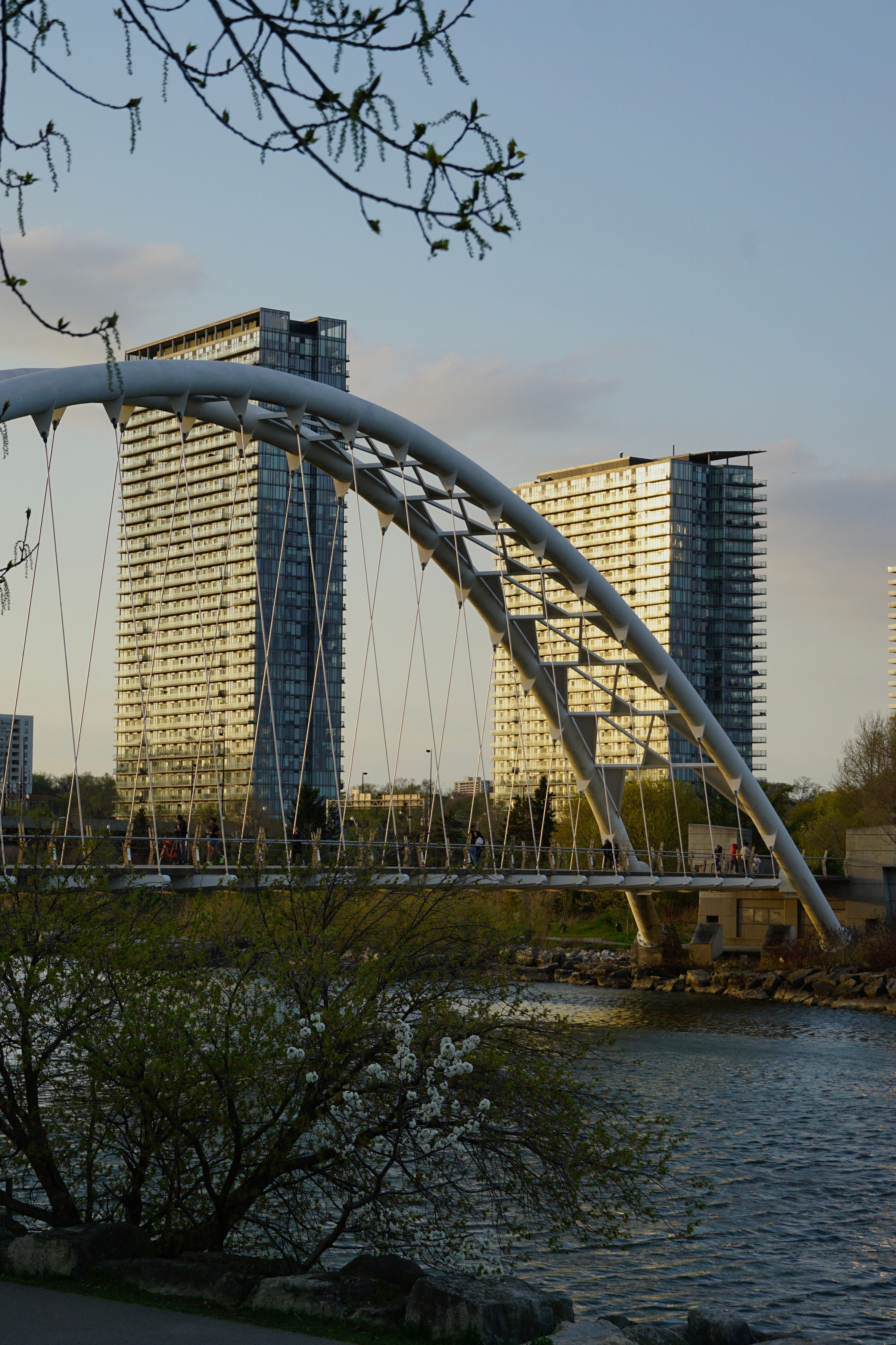 Golden hour landscape
